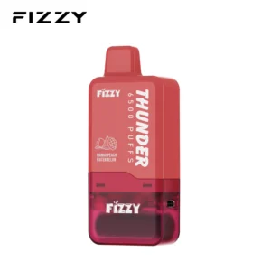 FIZZY THUNDER prefilled pod system