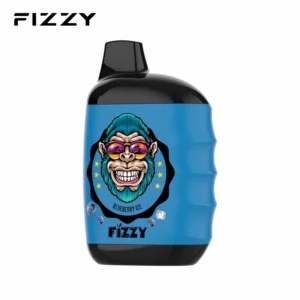 FIZZY GREAT single-flavor disposable vape 10000 Puffs